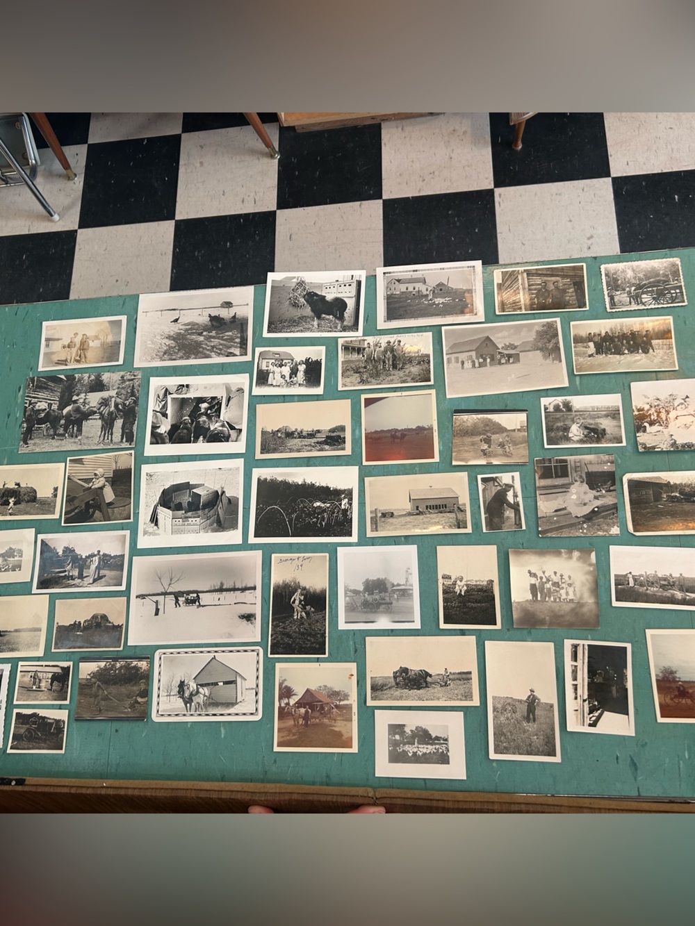 46 black white vintage farm photos animals farmers 1920’s - 1940’s ephemera - Picture 2 of 13